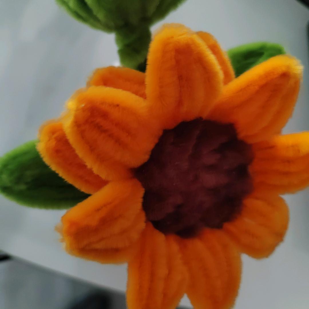 灰太狼