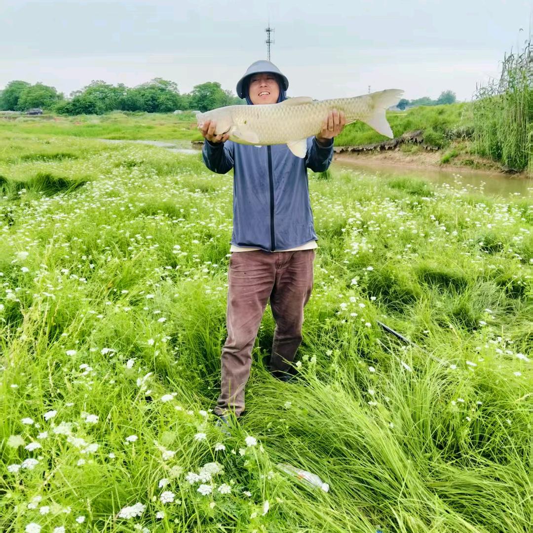 不务正业去钓鱼