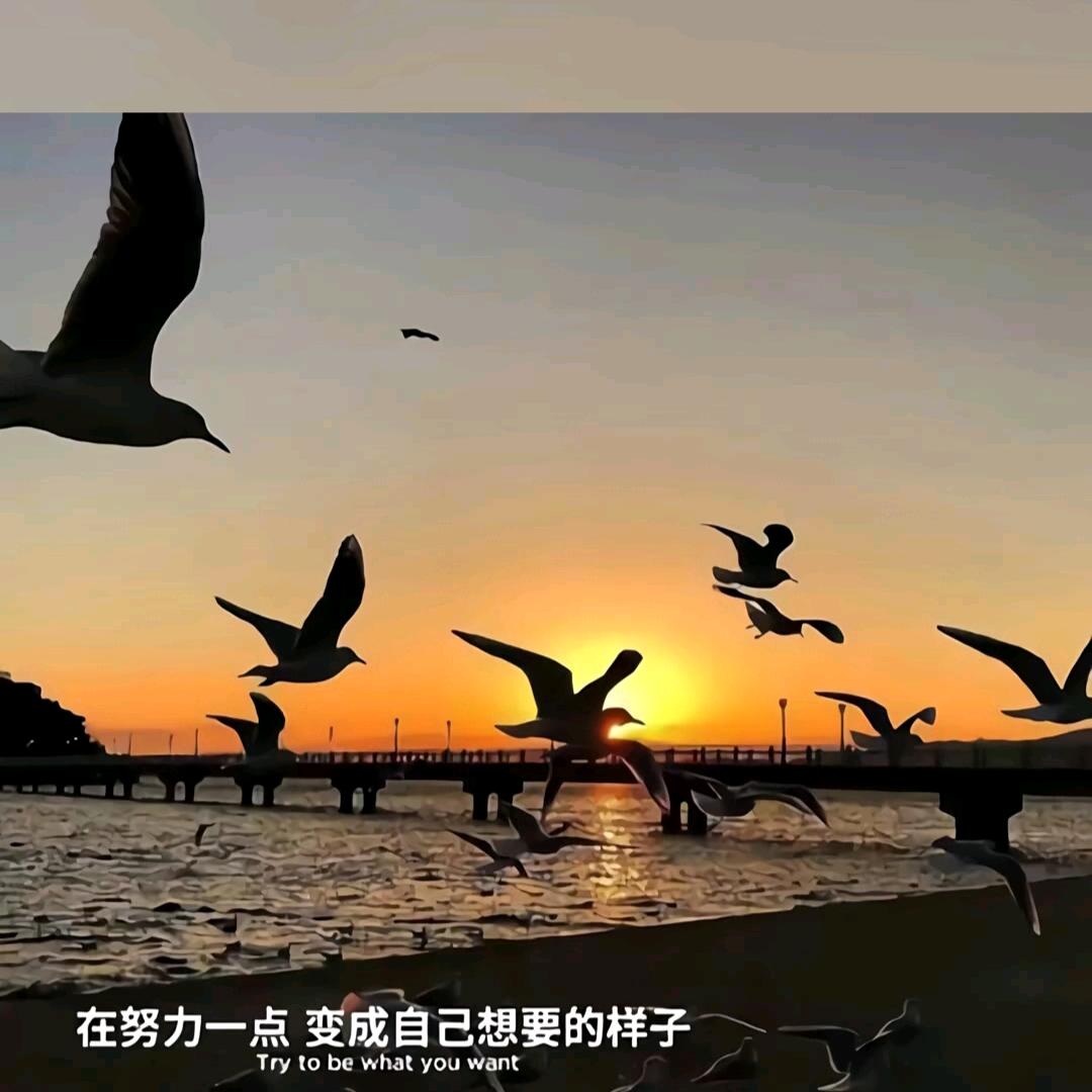 爱看电视剧
