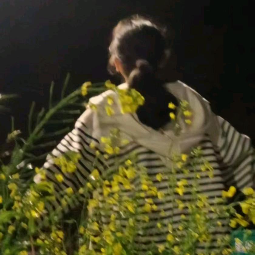 棉森回(ง •̀_•́)ง