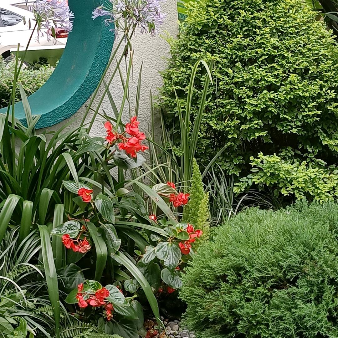 🌴👯幸福一家人🌿👯