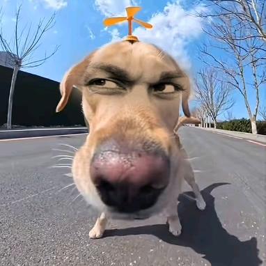 我赚够三千块就收手