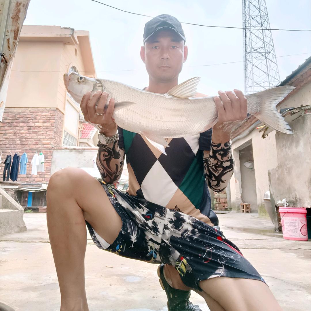 🎣柱子哥