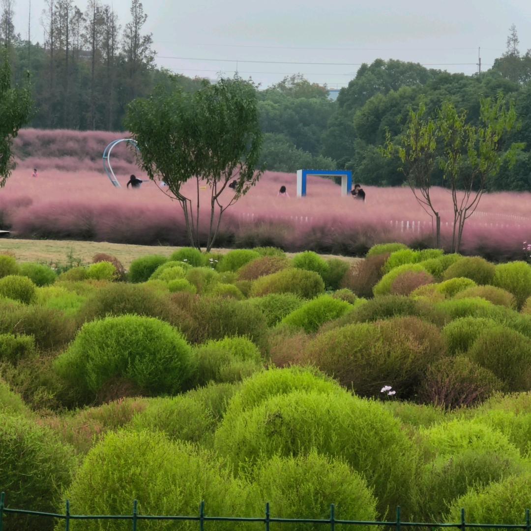 陌欣雨@拒绝私聊