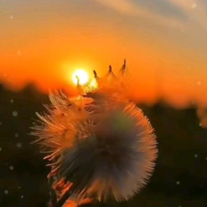 @加盐苏打水\。