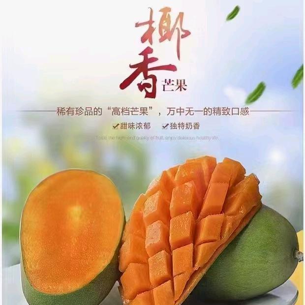 滨滨爱当兵