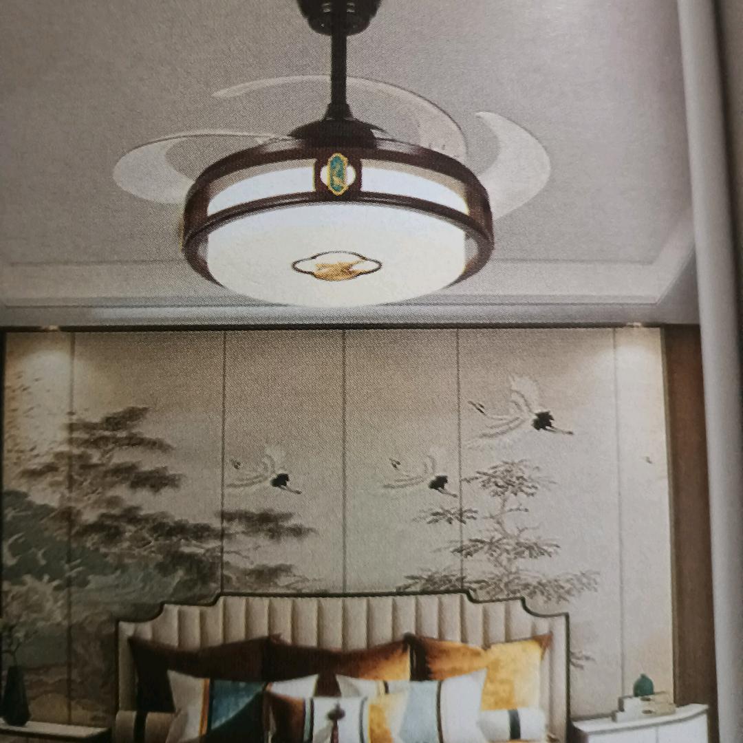 梅姐，橱窗好物