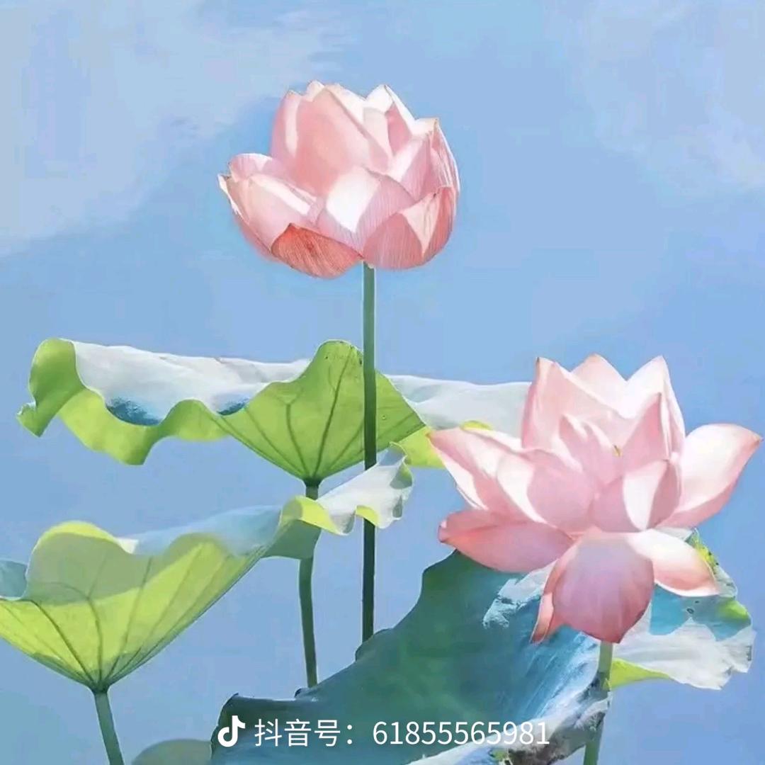 手捧阳光🇨🇳