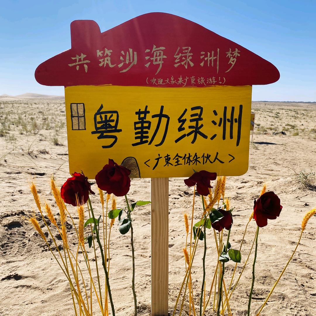 粤勤绿洲