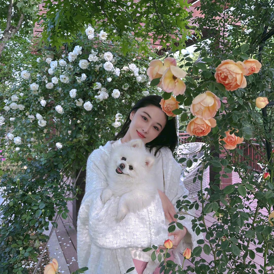 晚夏✨