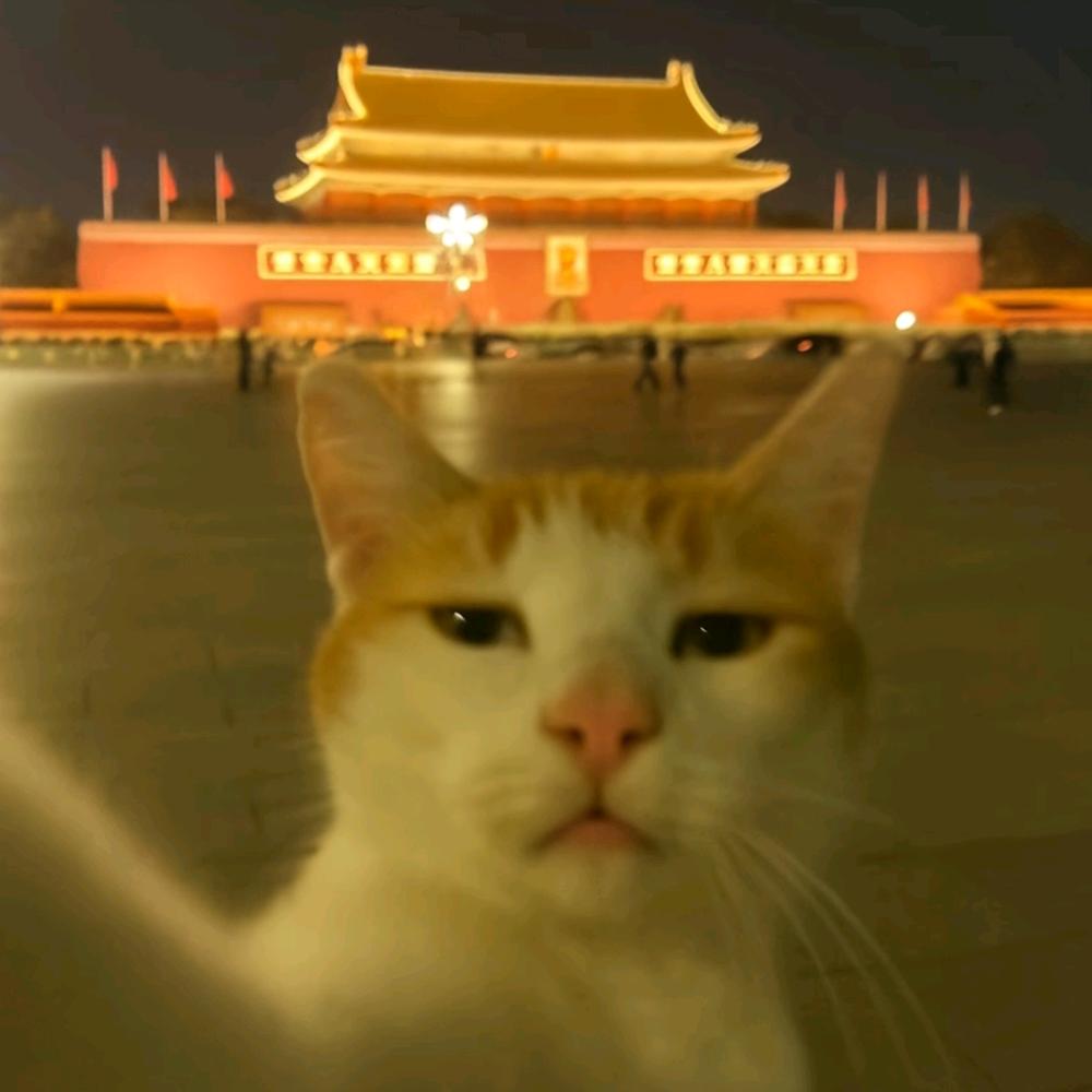 哈哈哈(ಡωಡ)hiahiahia