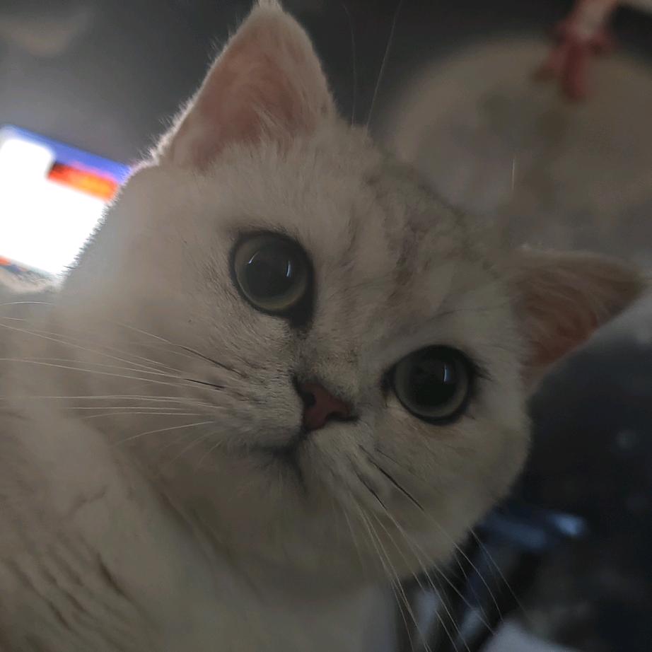 药开心