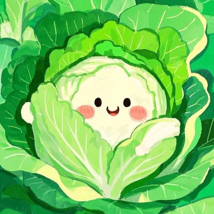 再卷也是菜，葱就完了