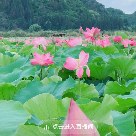 心❤️