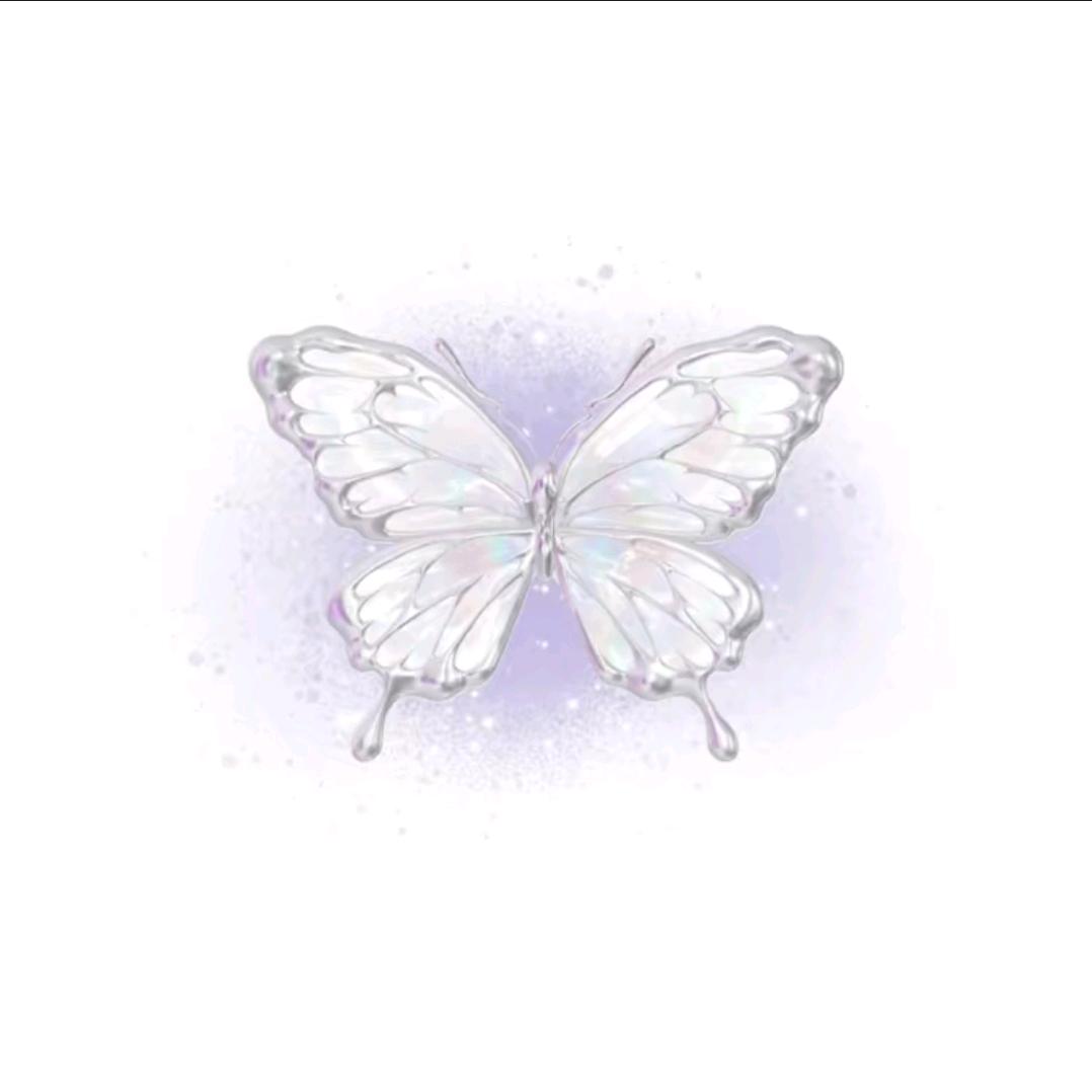 ค ᳐鲸蝶 ᳐ค೨゛