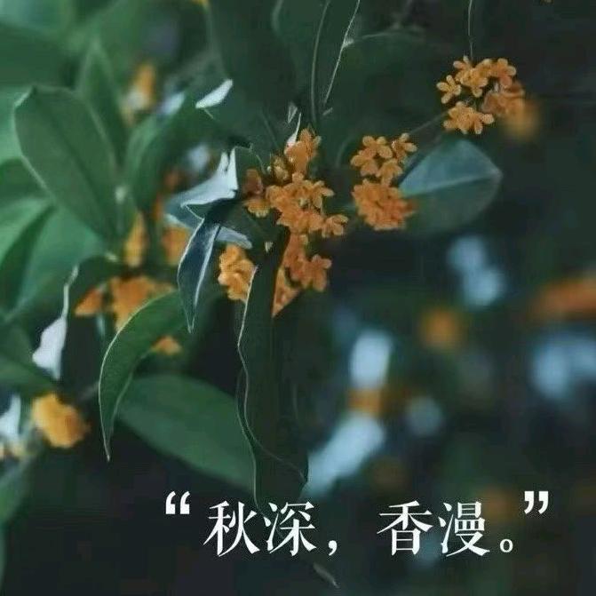 🍒你知我几分🍓