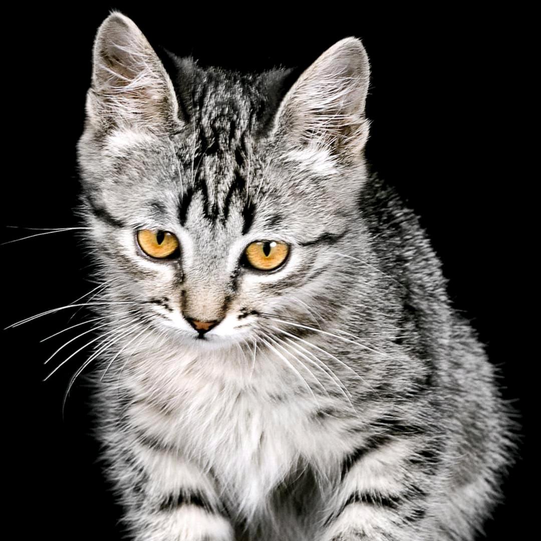 🎣知足🎣常乐🎣