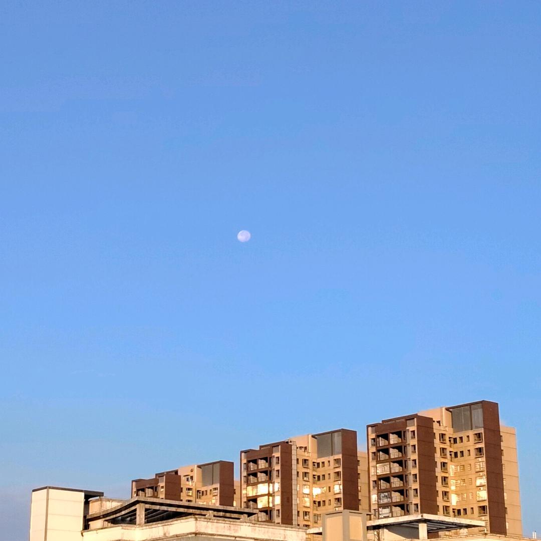 ˚𑁍ࠬܓ˚独宠ཀོ