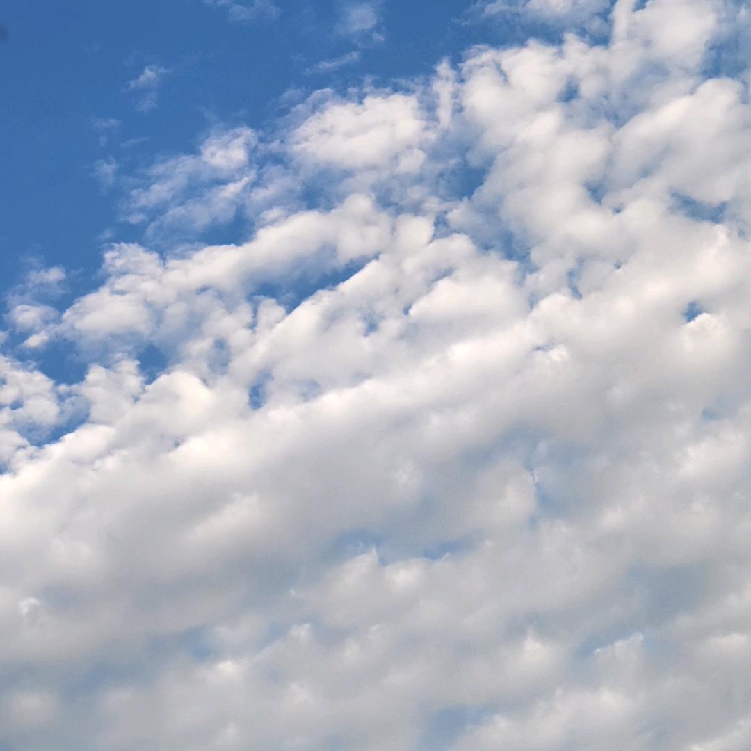 小白宝妈学梳发型成长日记