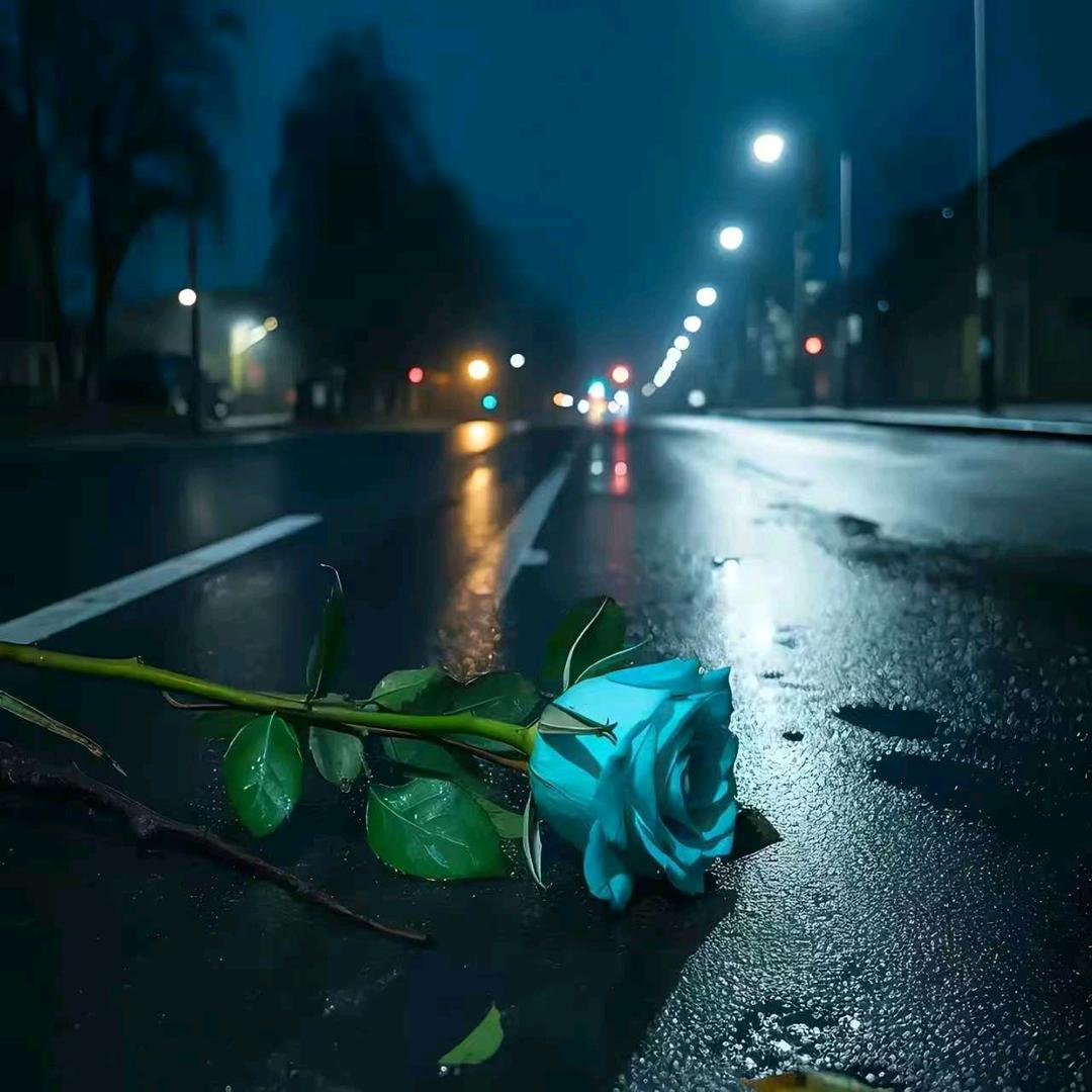 ๓°星এ⁵²º᭄ღ