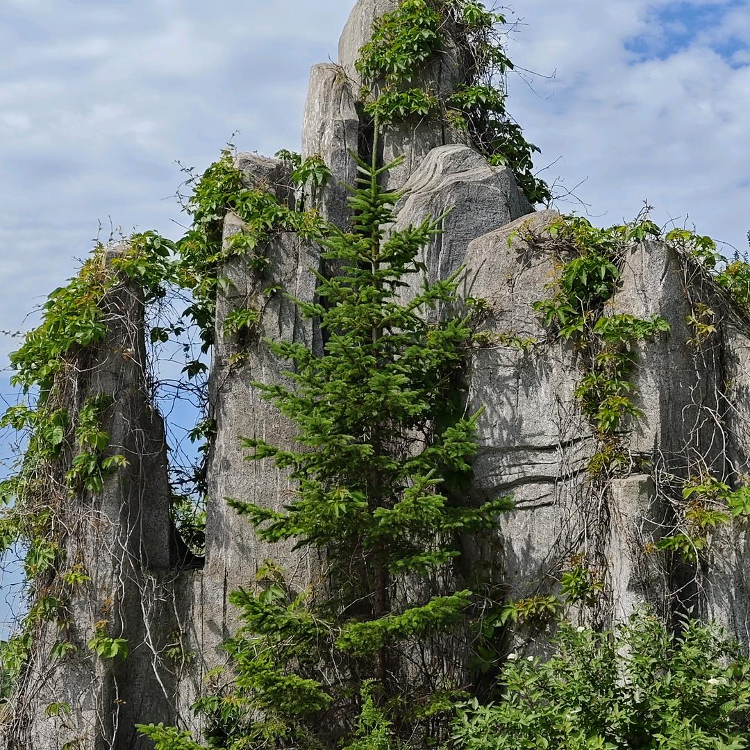 潇兮HY