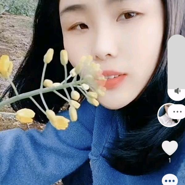 天使之梦