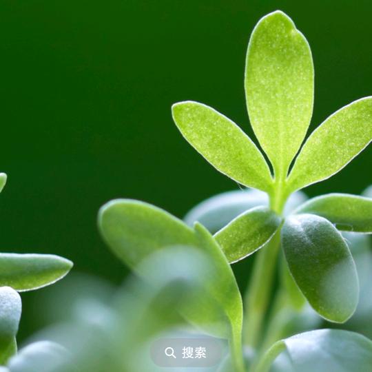 过好每一天