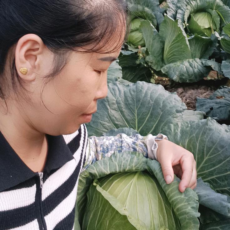 菜农王姐