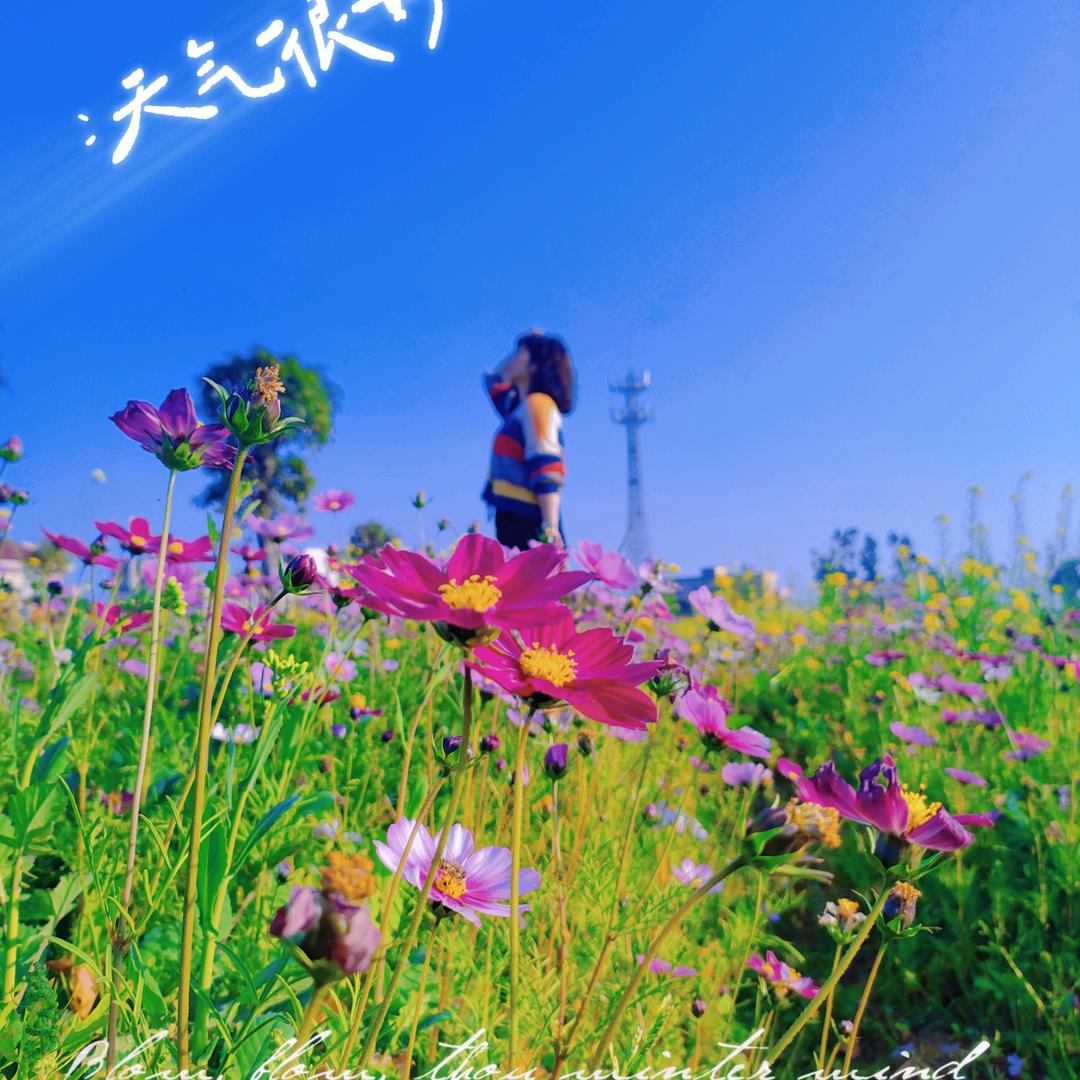 暖光浅笑°