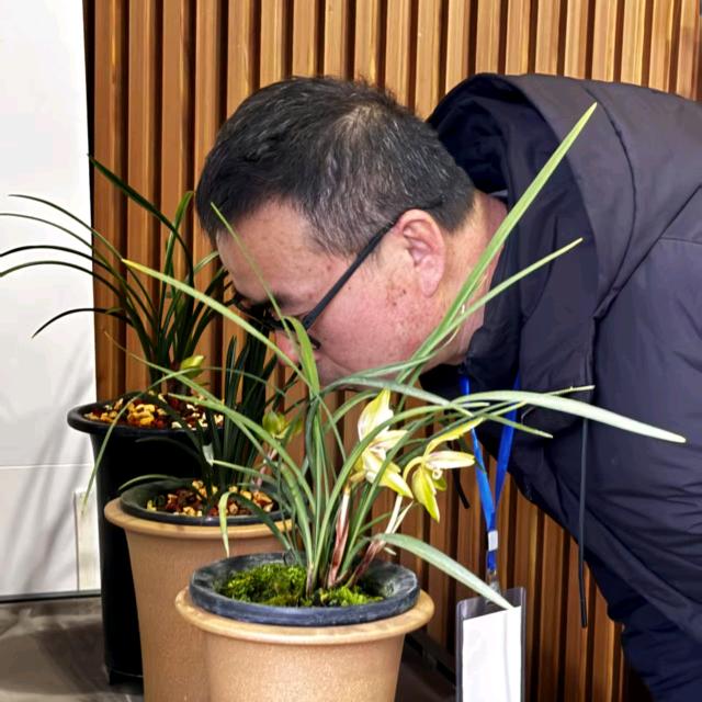 积贤斋写兰