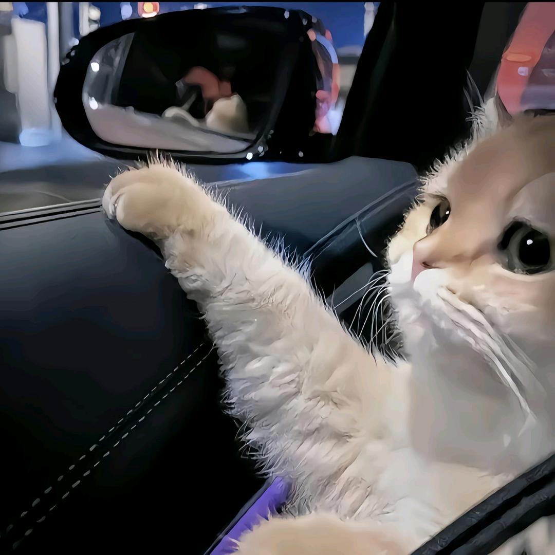 小狗蛋