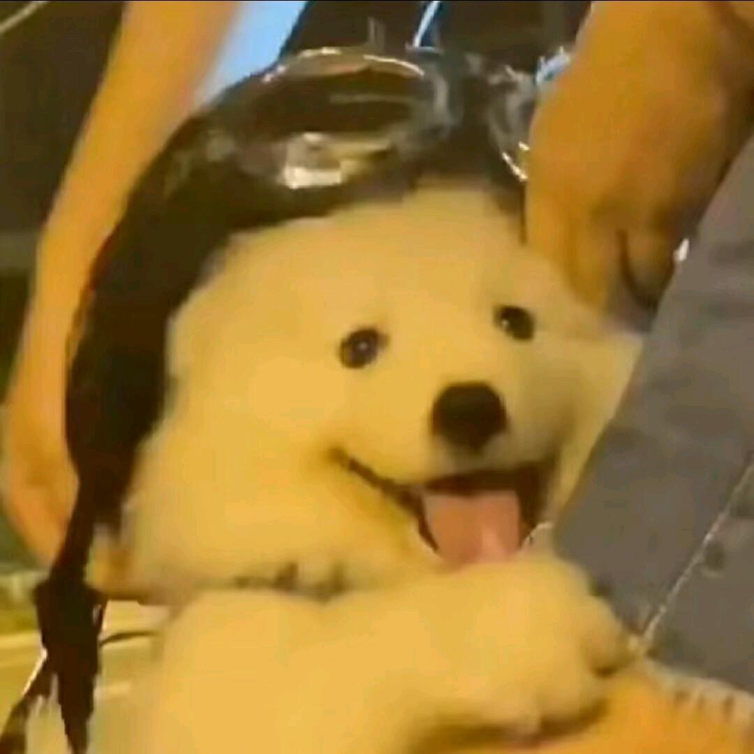 清墨黑仔