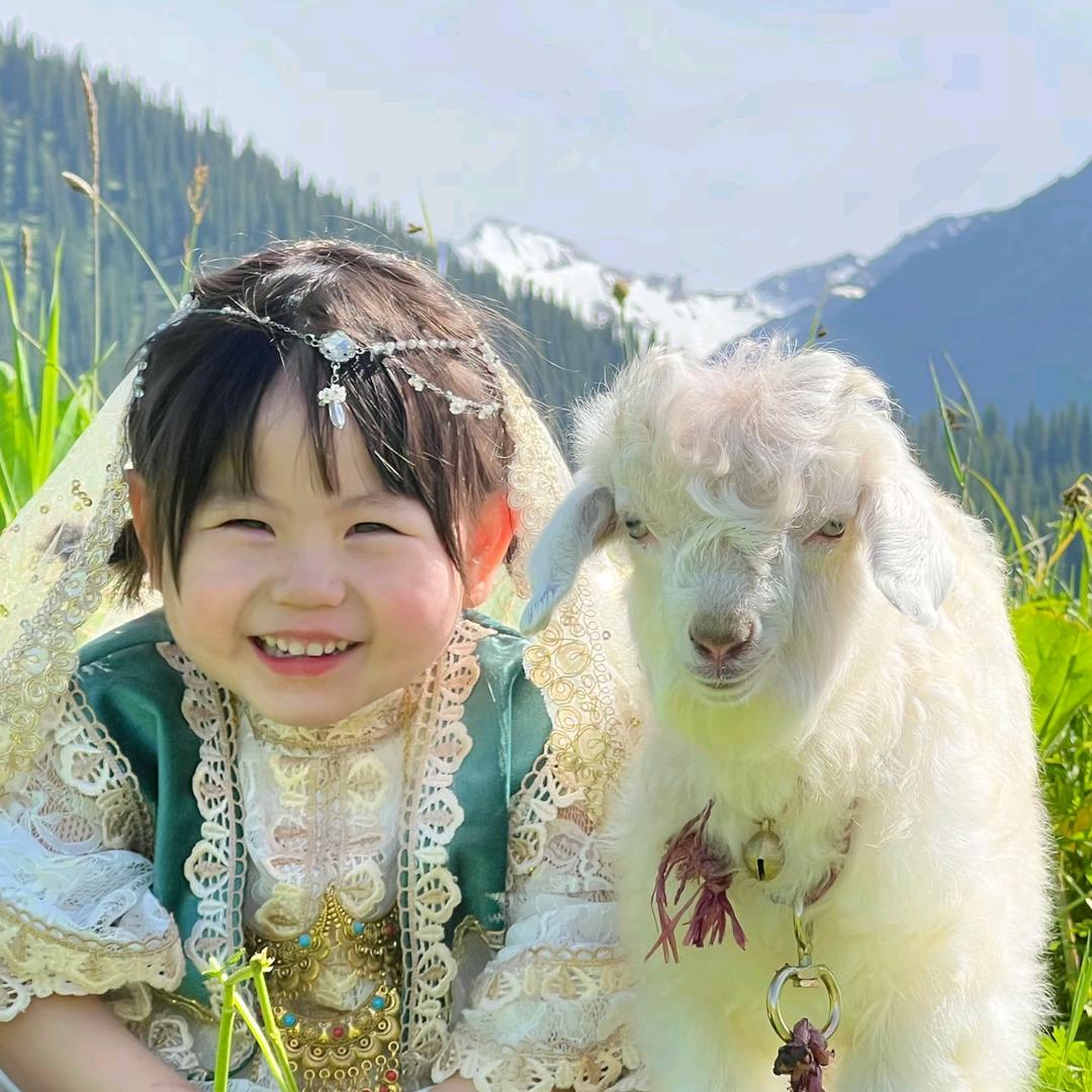 快点张工资