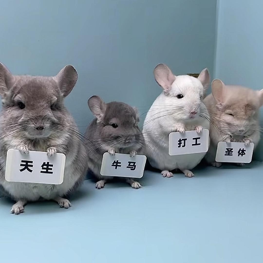 🌈北城以北