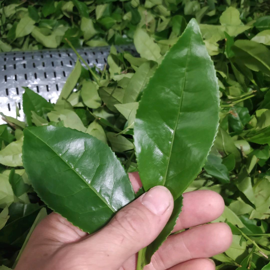 空调按装，清洗各种各样空调