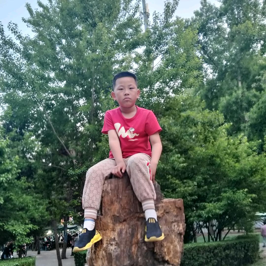 黑鹰集团和铁爪帮👮🏻‍