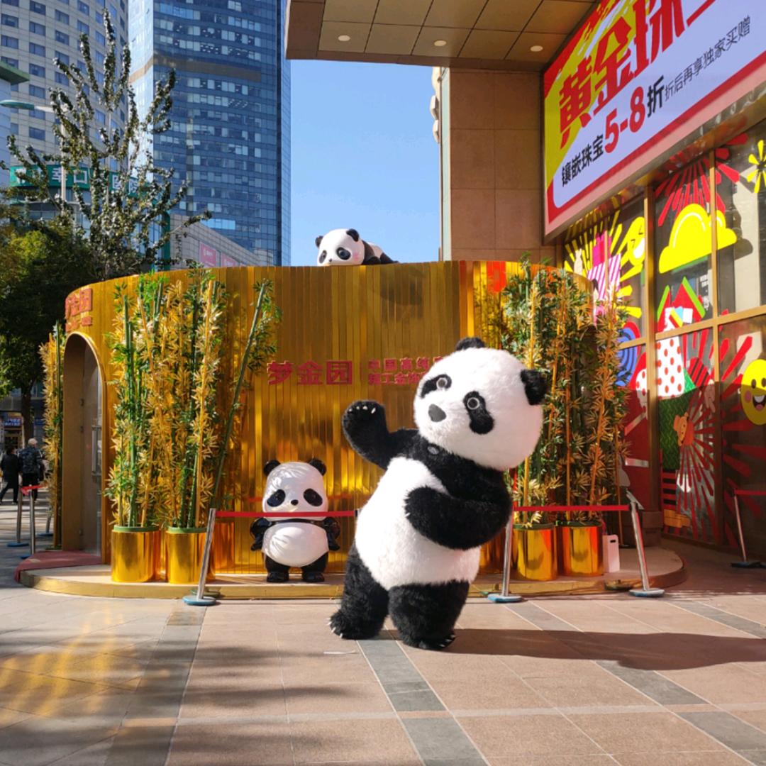 小佳