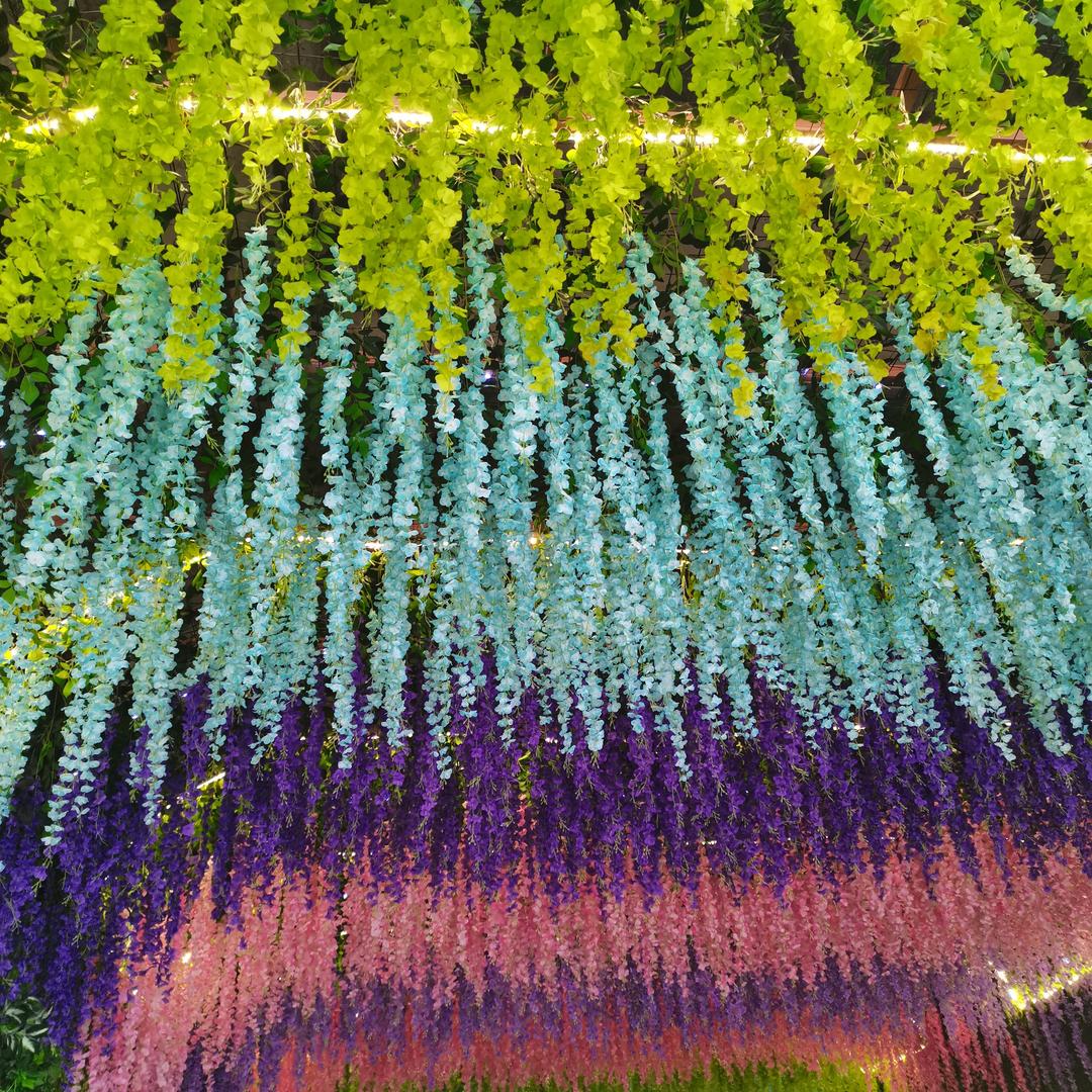 家有一老如有一宝