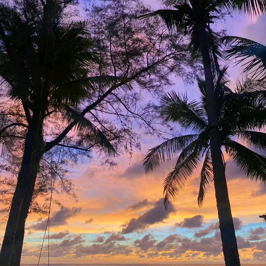 嘎巴一下给干折了