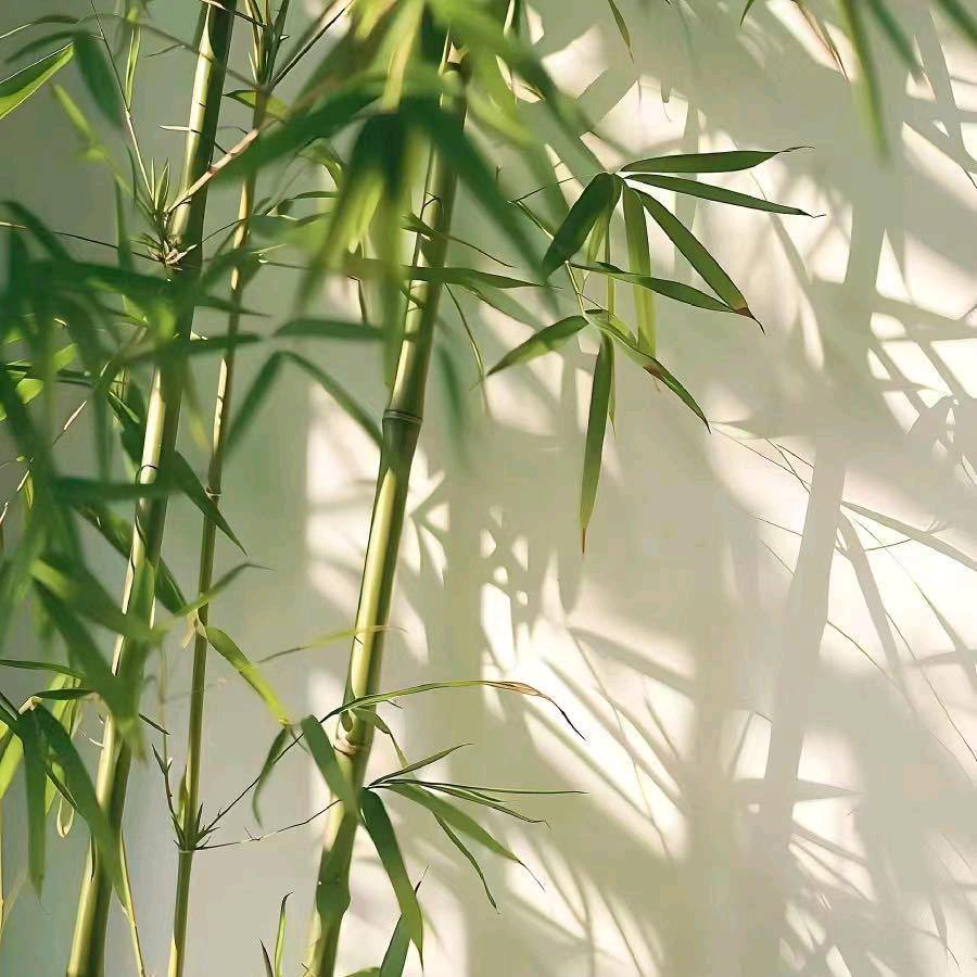 回到以前