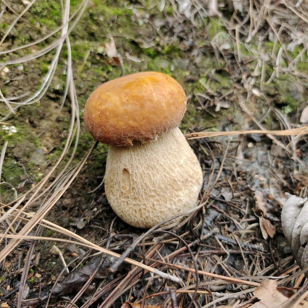 看月亮睡了没🌙