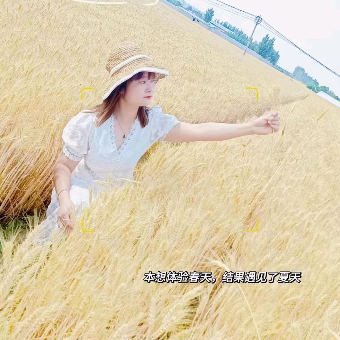 美食多多