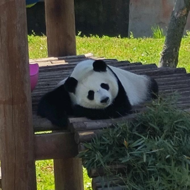 听澜