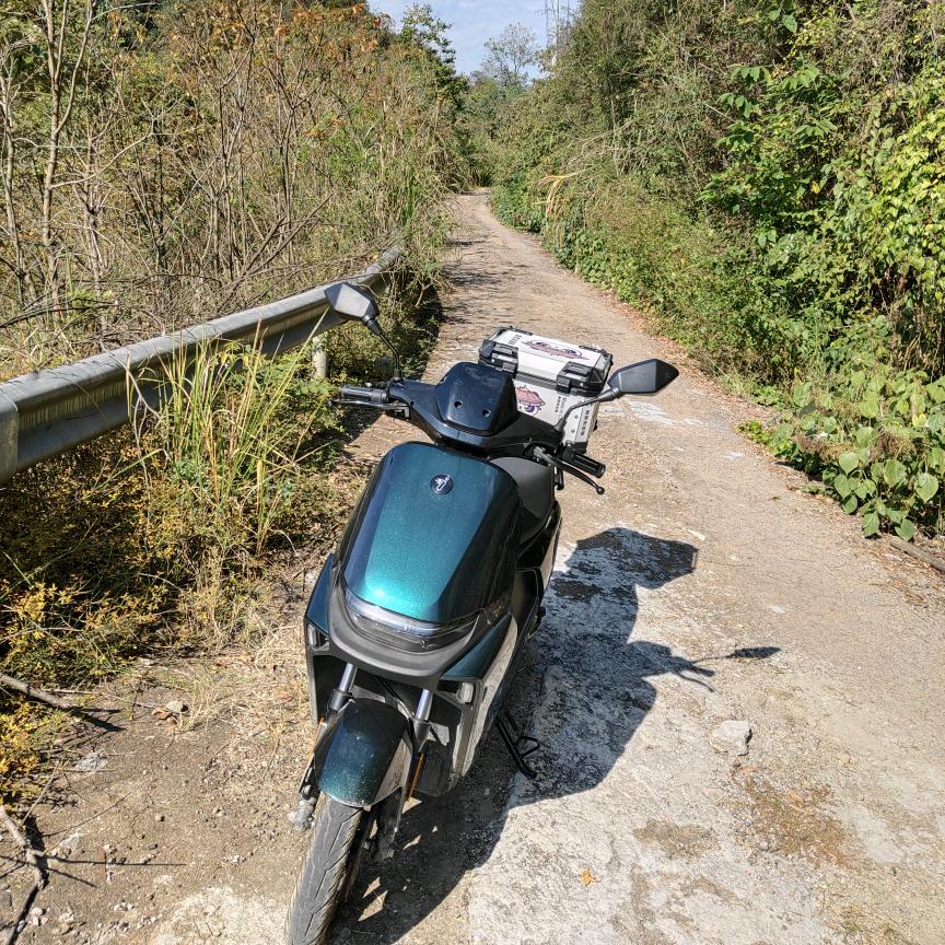 非布司他重度依赖者