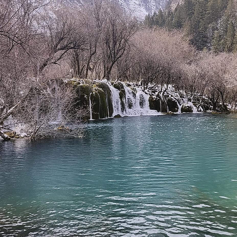 滴酒不沾