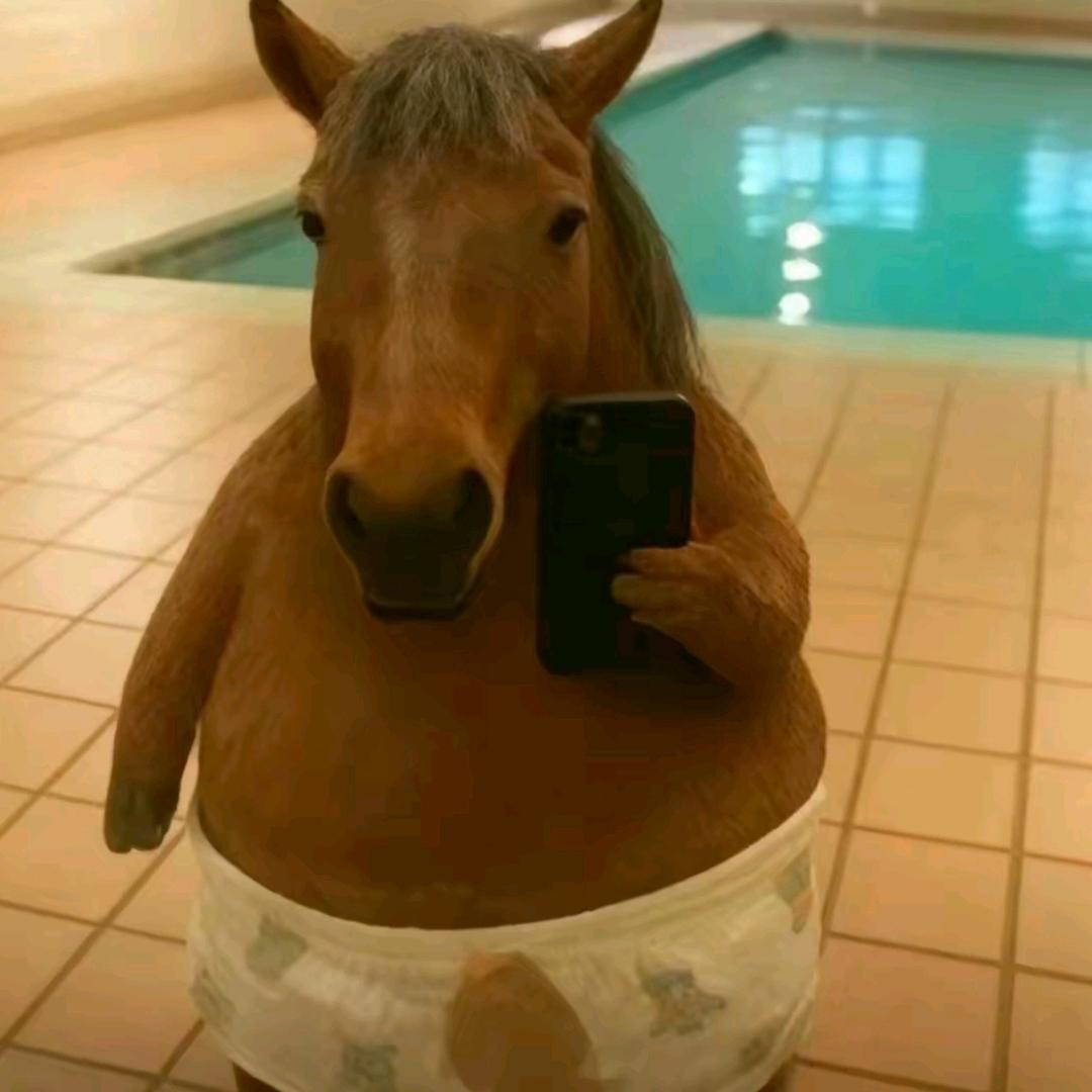 诺