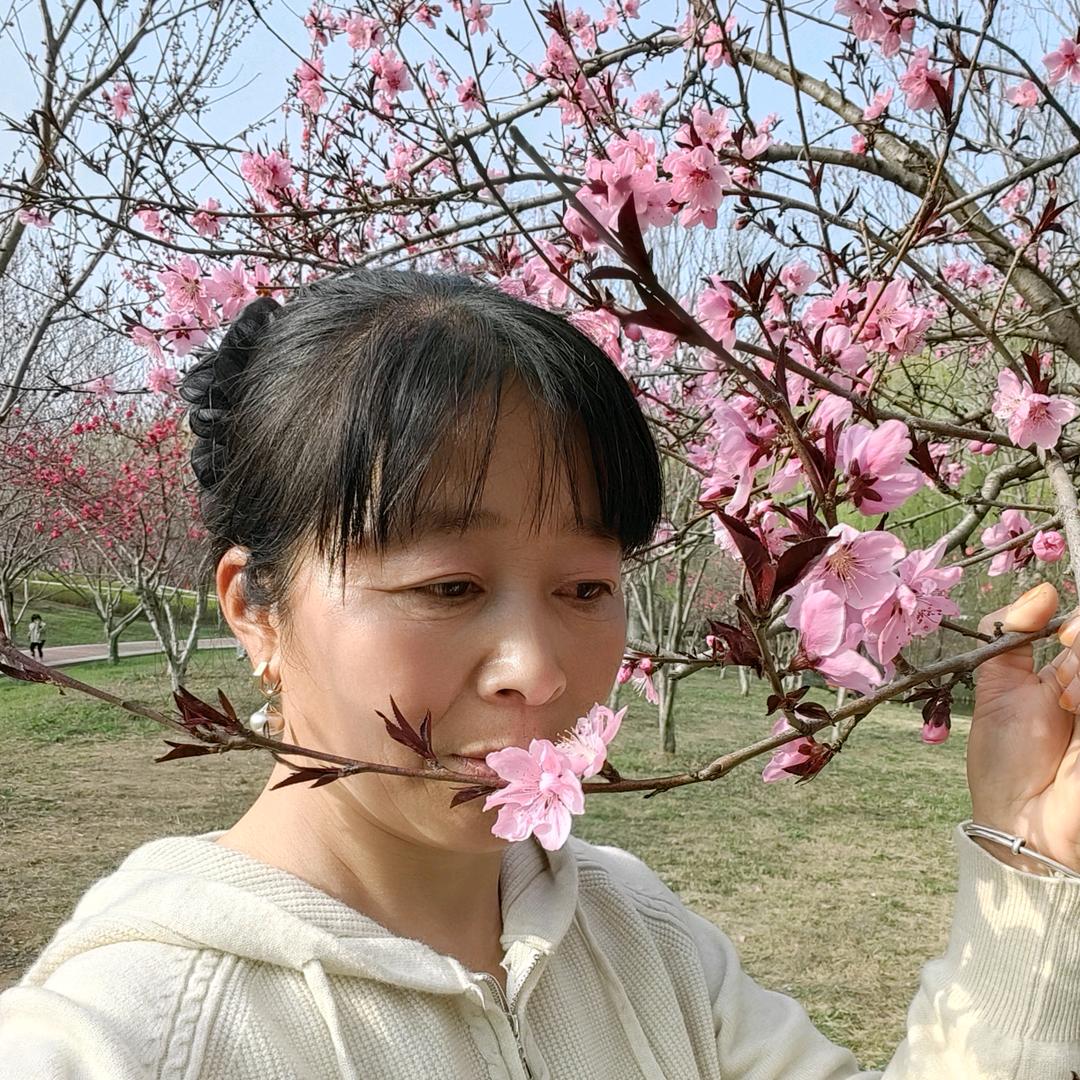 玲姐