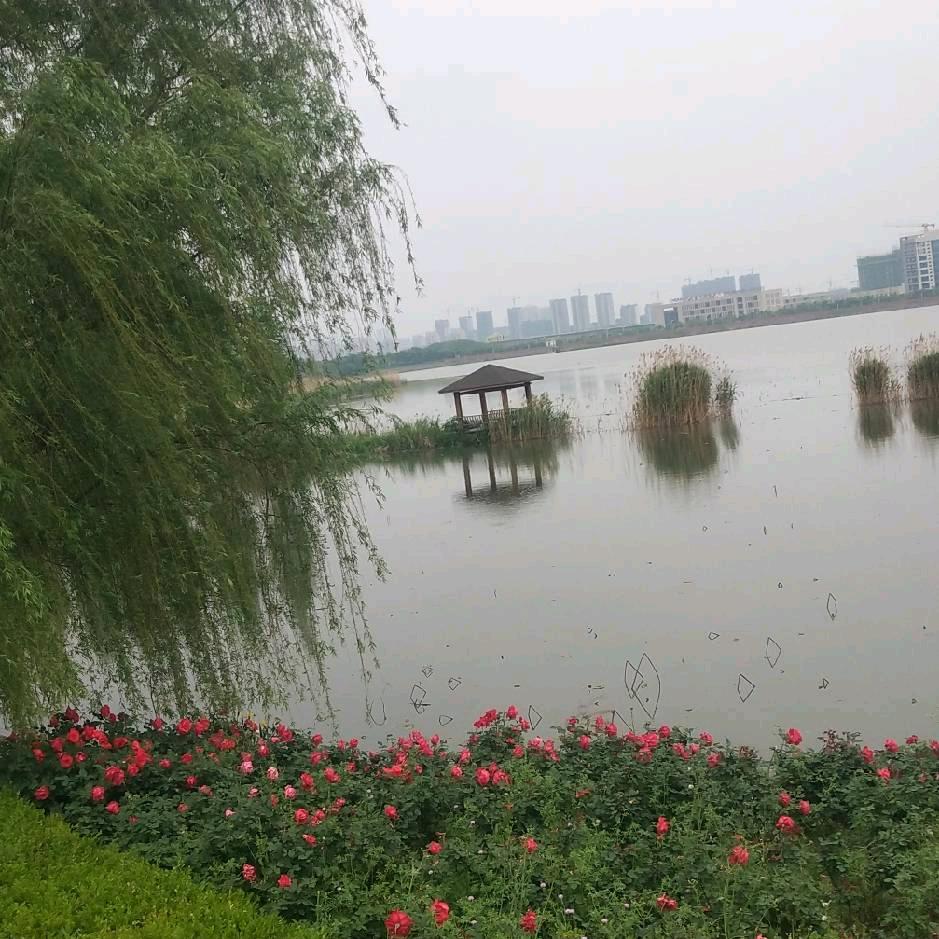 興王旺財