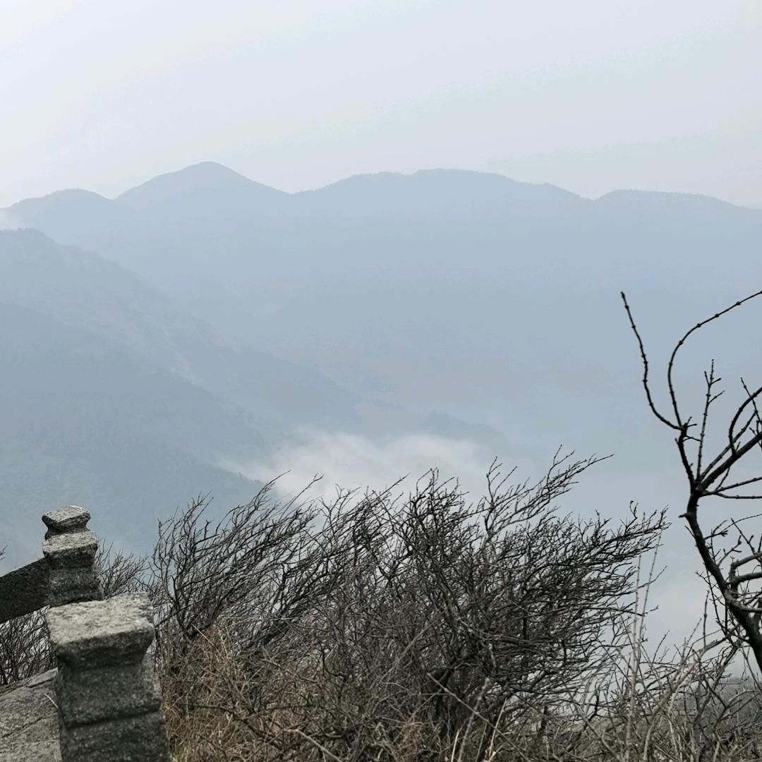 呵呵