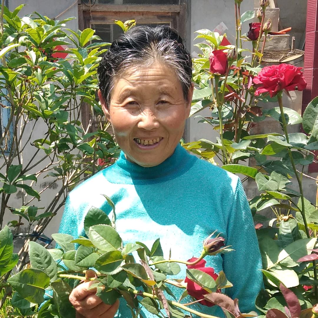 春芳